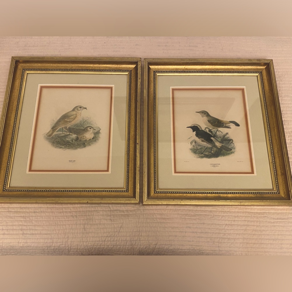 Set of 2 vintage framed bird prints